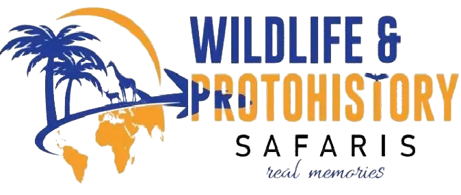 Wildlife & Protohistory Safaris |   Pula